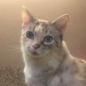 Meet your Posher, Susan